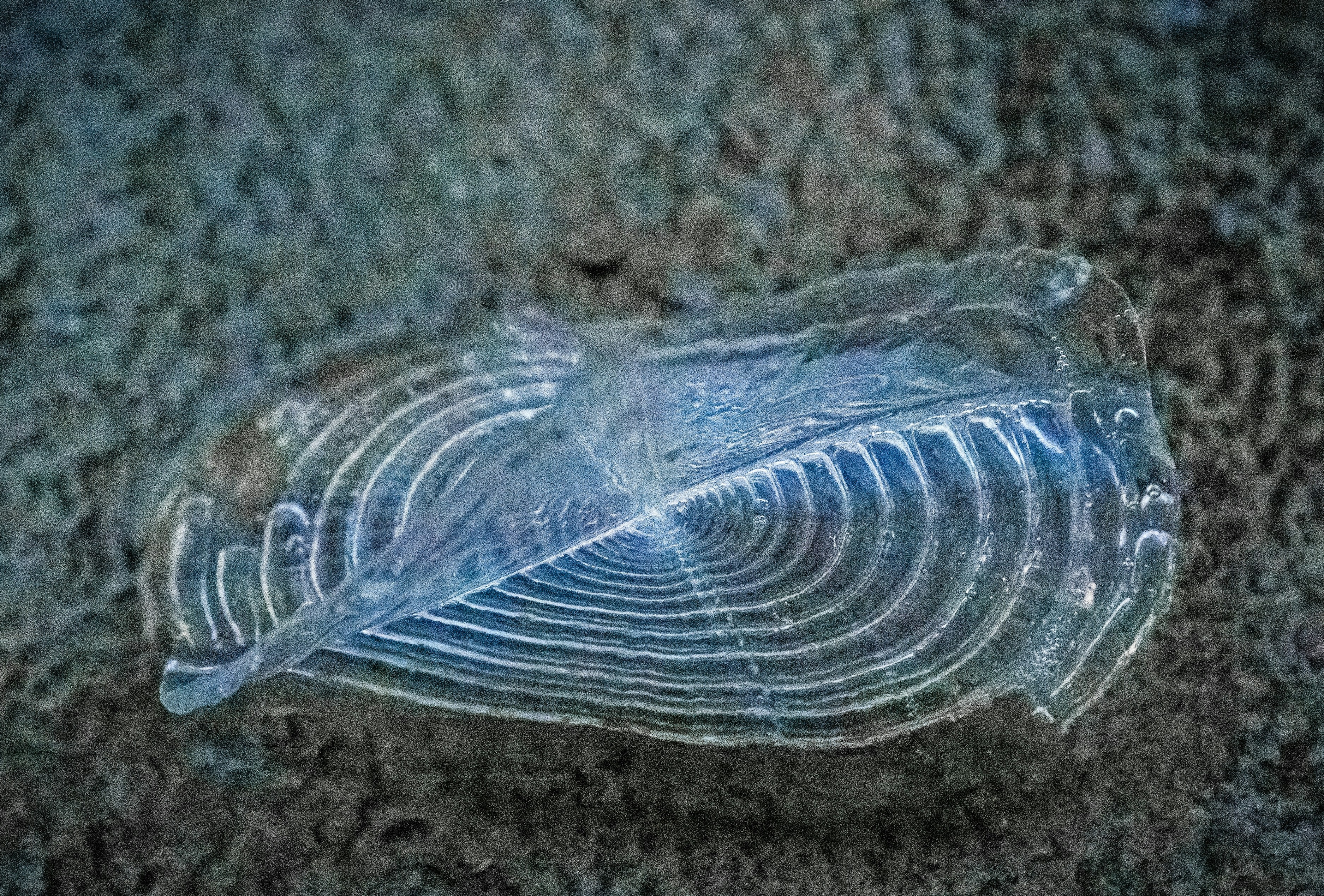 Applications of Seawater-Soluble Plastic