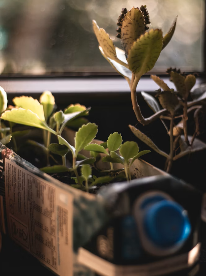 Benefits of Upcycling